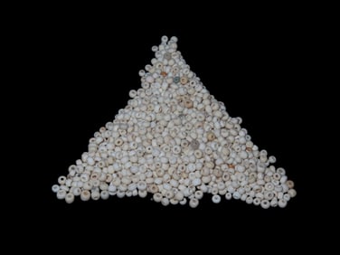Well Over 100 Trade Beads Found as a Cache in Northern Georgia
