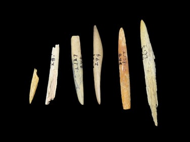 Selection of 5 Bone Awls/ Needles, Tenessee