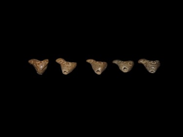 Set of 5 Effigy Parrot Pre Columbian Moche Pottery Beads