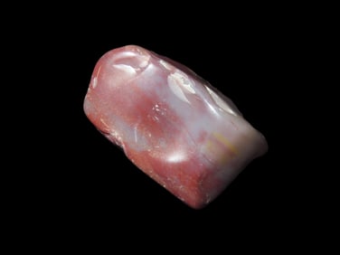 69 Gram Wonderful Polished Carnelian Agate Petrified Wood Collectible Gem Mineral Speciman