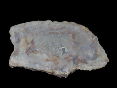 Jurassic Era Coprolite Fossil, 156- 146 Million years old, Utah, USA Morrison Formation