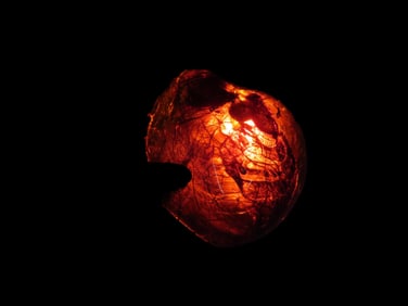 Fossil Amber Found in Europe, Private Collection Penn
