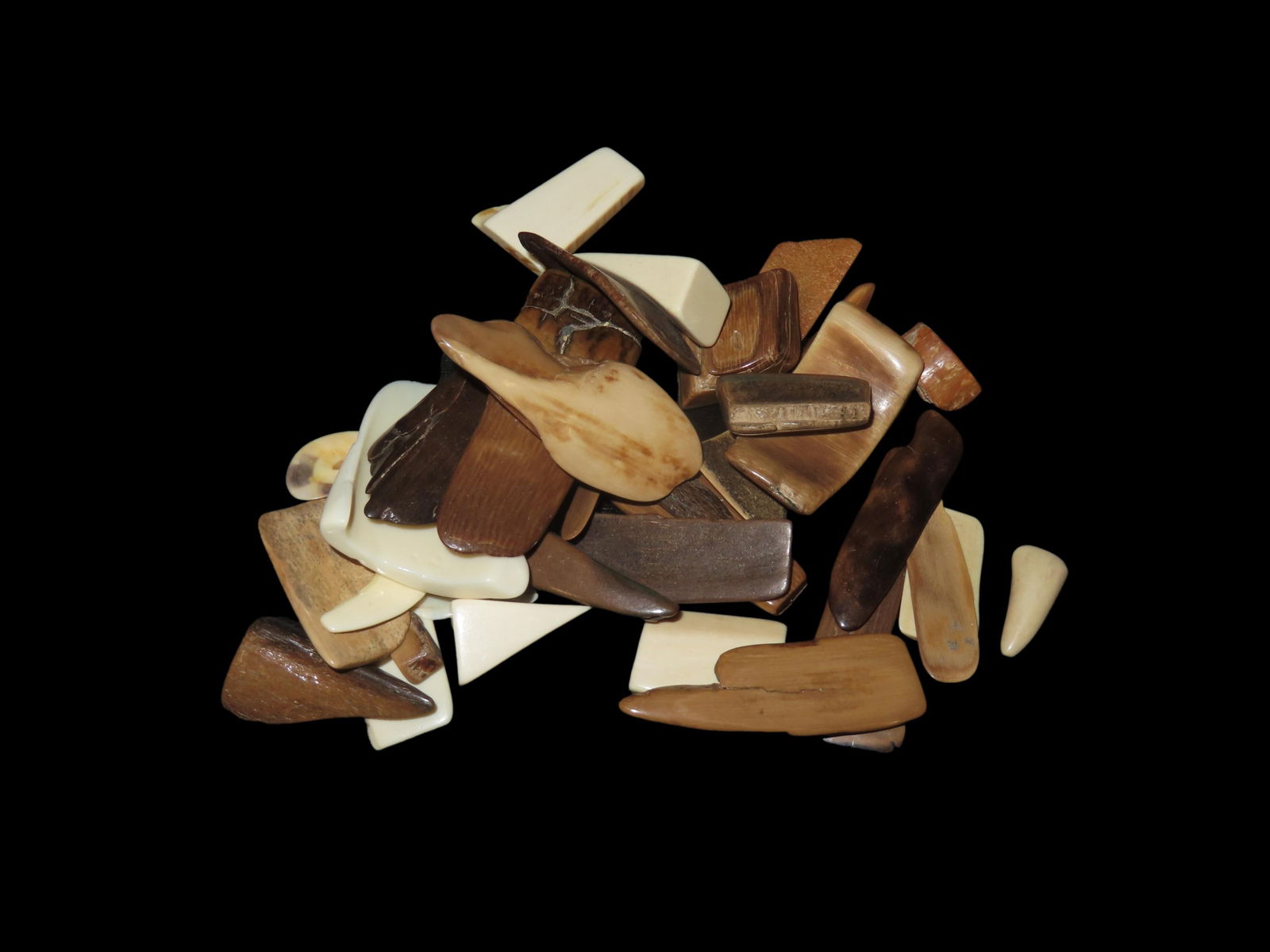 Amazing Group of Alaska Mammoth/ Mastadon Polished Tusk Fossils: Amazing Group of Alaska Mammoth/ Mastadon Polished Tusk Fossils