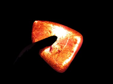 Fossil Amber Found in Europe, Private Collection Penn