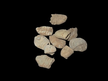 Civil War Bullets, Metal Detector Finds By Boyd Cole, Wayne County Tennessee