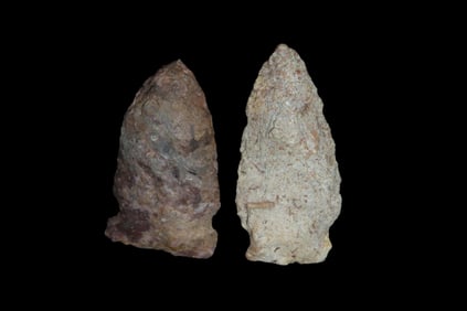 Lot of 2 Ansell Pts, found by Adam Sisler & Family in Keokuk Co., Iowa