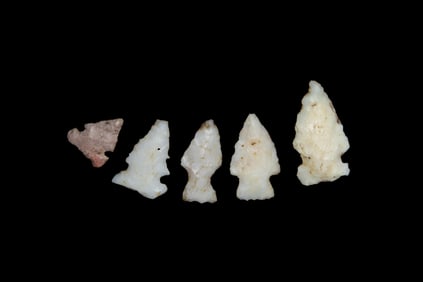 Group of 5 Quality Bird Pts., found by Adam Sisler & Family in Keokuk Co., Iowa