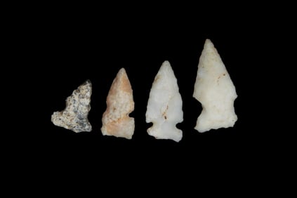 Lot of 4 Bird Pts., found by Adam Sisler & Family in Keokuk Co., Iowa