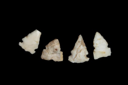 Lot of 4 Bird Pts., found by Adam Sisler & Family in Keokuk Co., Iowa