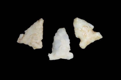 Lot of 3 Bird Pts., found by Adam Sisler & Family in Keokuk Co., Iowa