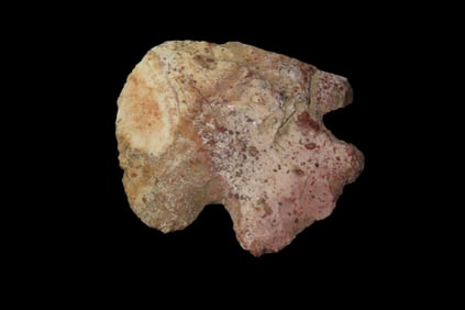 2" Heat-treated Chert Blunt, found by Adam Sisler & Family in Keokuk Co., Iowa