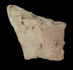 2 7/8" Piesker Diamond, found by Adam Sisler & Family in Keokuk Co., Iowa