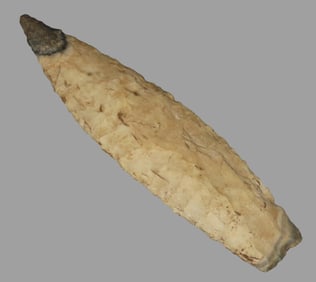 4 3/8" X 1 1/8" Outstanding Sedalia, Partain COA, found in the late 1970's by Ron Dankenbring on his