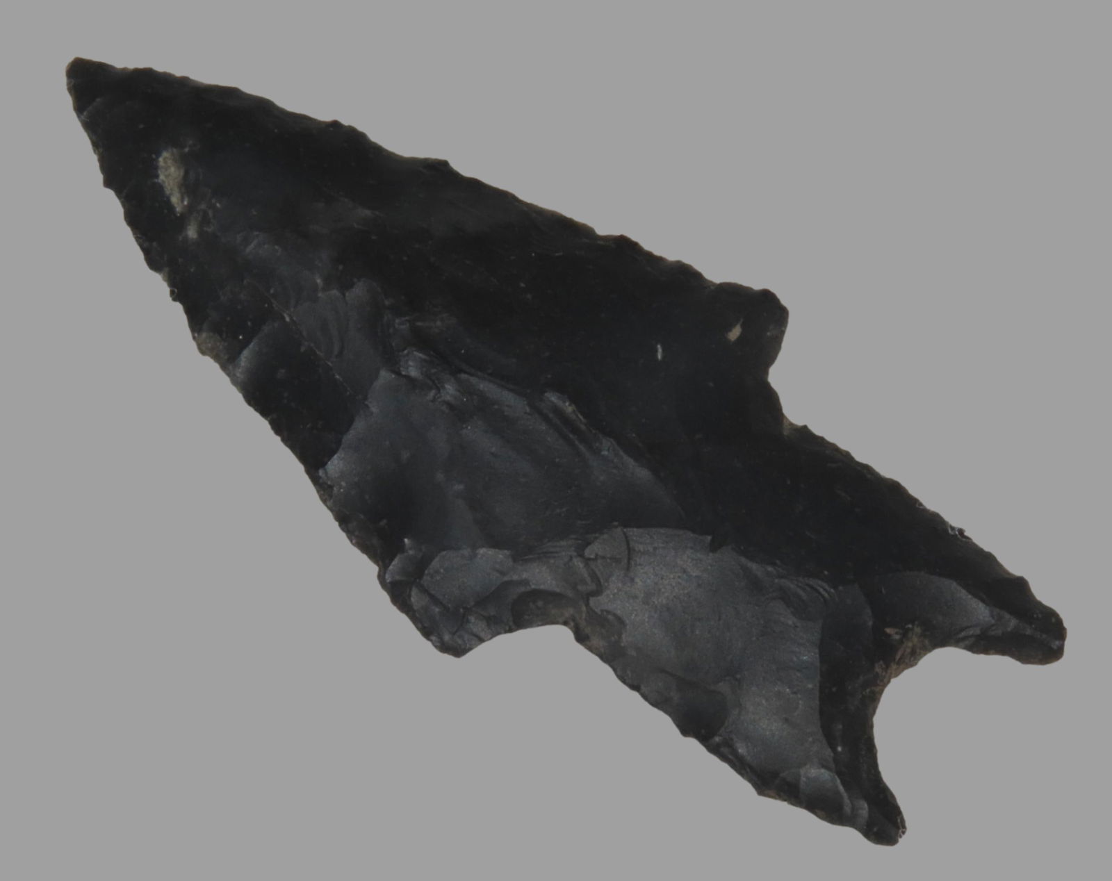 2 9/16" X 1 1/16" Pedernales, Partain COA, found in Central Texas, Ex Terry Allen Collection, Ex Jam (1 of 9)