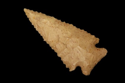 2 3/8" X 1 1/8" Pine Tree, Partain COA, found in Greene Co., Illinois, Ex James Hinson Collection