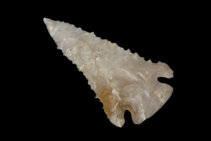 2 3/8" X 1 1/4" Pine Tree, Jackson COA, found in Kentucky