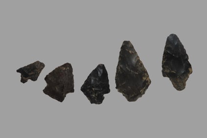 Group of 5 Native American Arrowheads