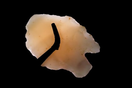 2 7/8" x 2 1/8"   Novaculite Stemmed Pt