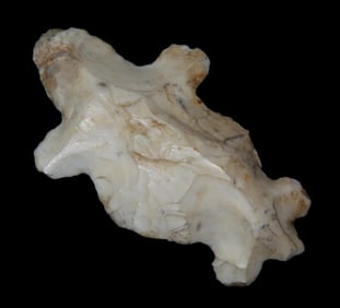 1 7/8" x 1 1/8" Turtle Effigy Eccentric