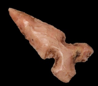 1 3/16" 3-Notch Bird Pt.