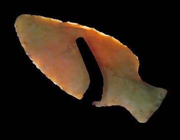 2 9/16" x 1 1/8" Table Rock, Motley COA, Great Color, found in Adams Co., Illinois, Ex Preston Altho