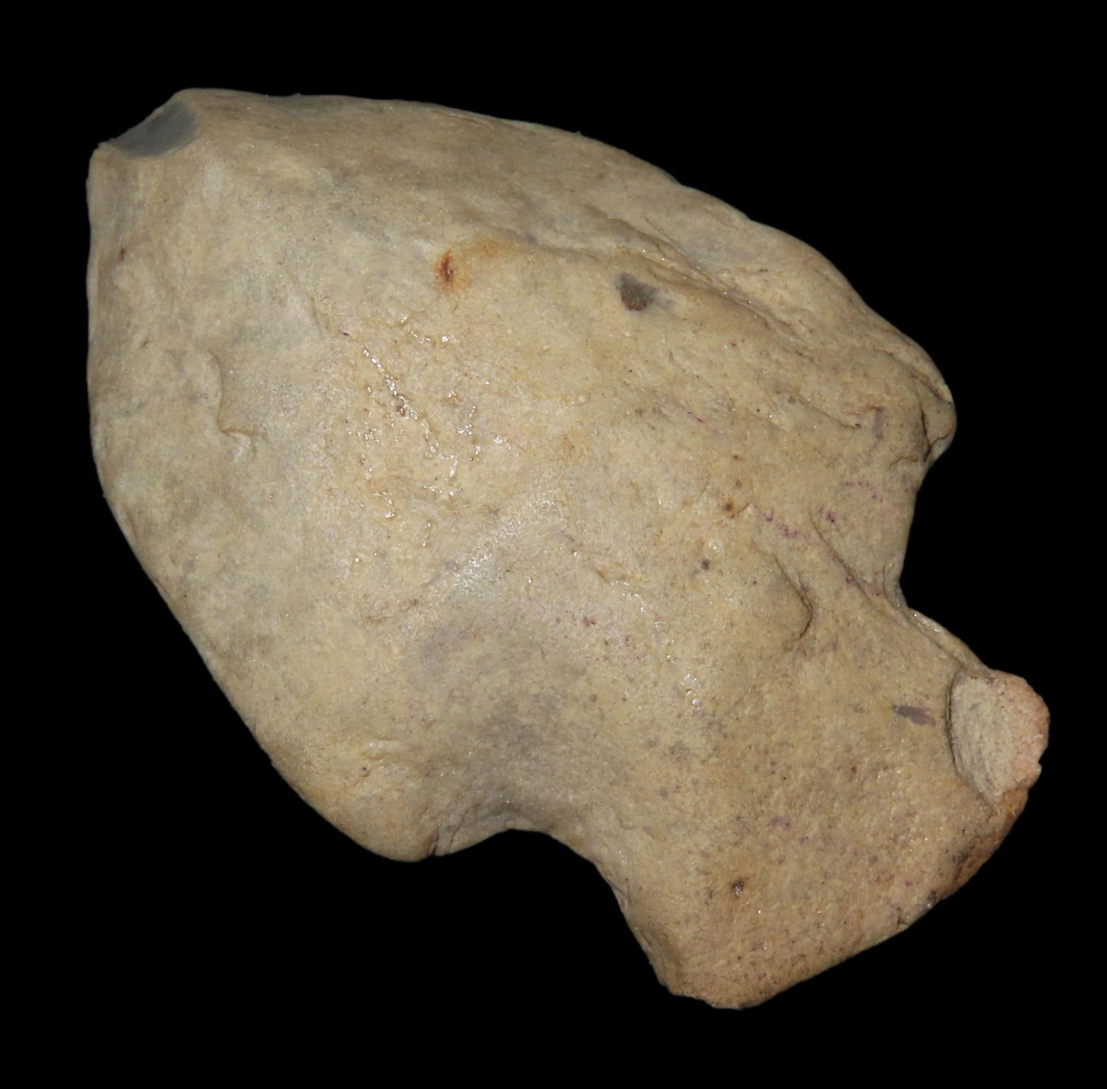 1 13/16" x 1 3/16" Polished Table Rock, Motley COA, Pike Co. Illinois (1 of 9)