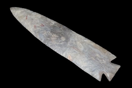 7 3/8" Grey Ghost, Outstanding Collectors Item, Excellent Center Piece for a frame/collection. "Gray