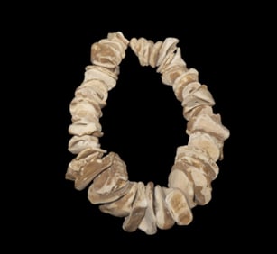 14" Strand of Shell Beads, Motley COA, Found in St. Clair Co. Illinois, Ex Floyd Ritter Collection
