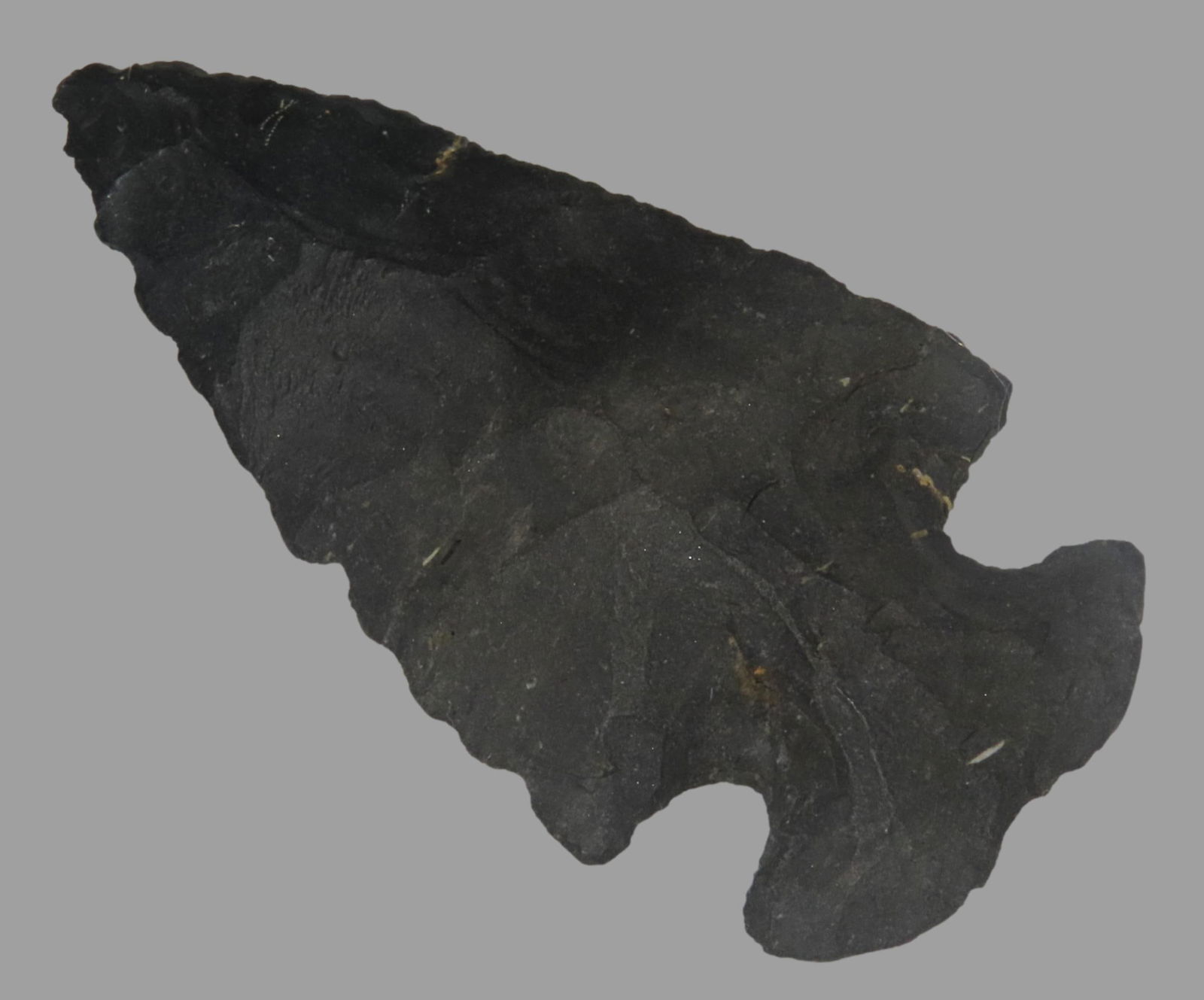 2 7/8" x 1 1/2" Dovetail, Made from Conselo Flint, Found in Missouri (1 of 7)