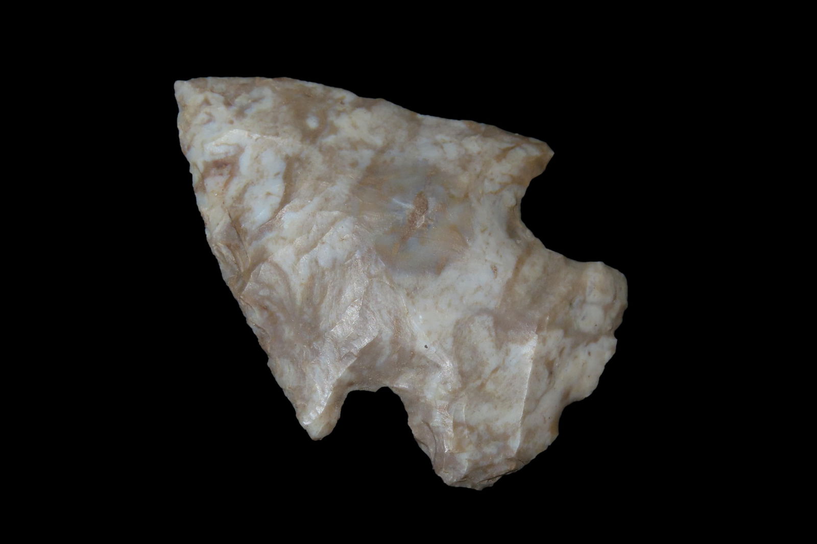 1 7/8" x 1 3/8" Snyder Point, Found in East Arkansas (1 of 5)