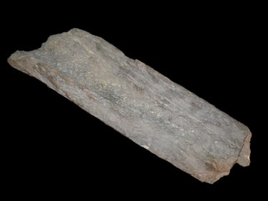 17 5/8" Fossil Mammoth Bone
