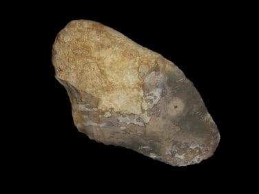 6 1/4" Cache Blade/Pre-form