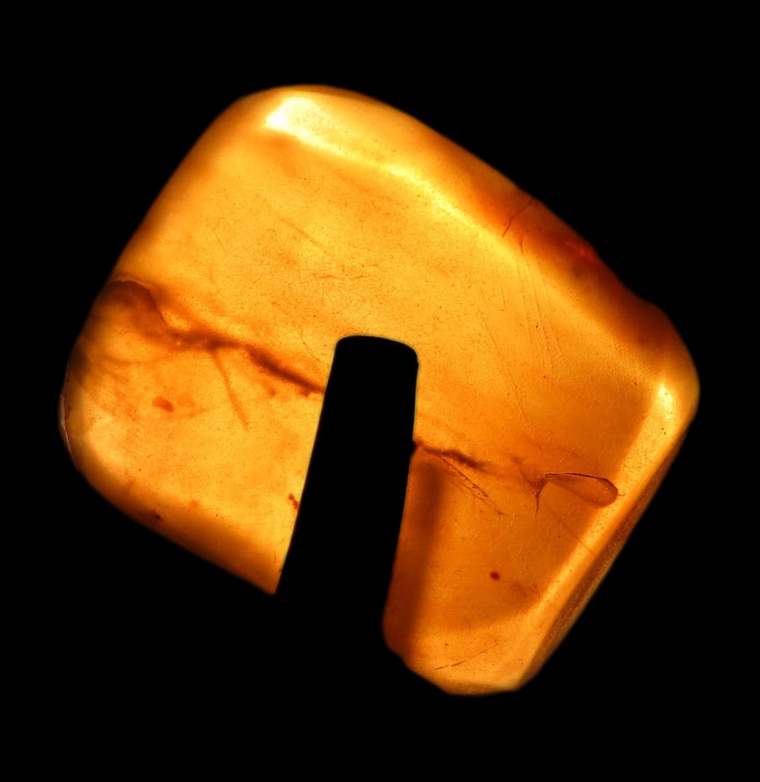 Selection of Amber Specimens with Insect and Plant Fossil Inclusions (1 of 15)