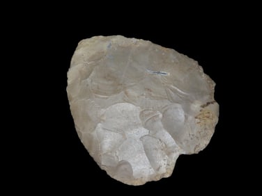 3 5/16" Cache/North Blade