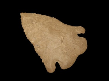 2" Charleston/Pine Tree