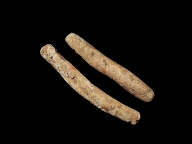 Lot of 2 Carved Effigy Shell Beads