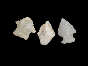 Group of 3 Common pts, found in Illinois