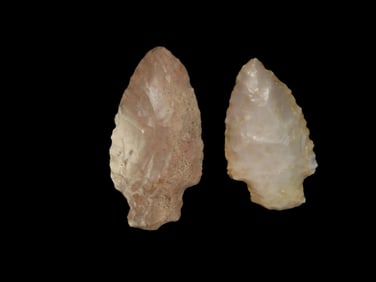 Set of 2 Serrated Stemmed Pts, found in Illinois