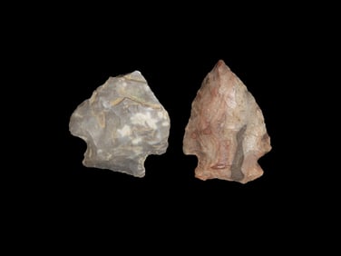 Lot of 2 Brewerton Pts, found in Illinois