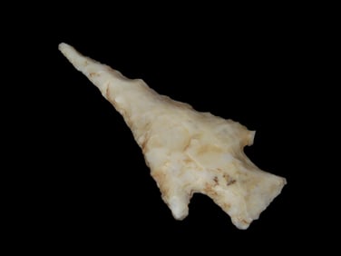 2 1/2" Hardin Drill, Native American Arrowhead