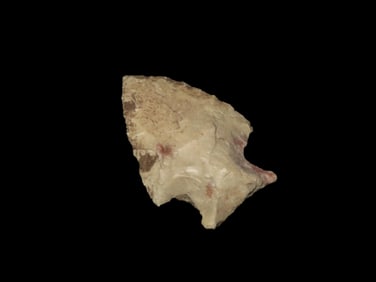 Pike Co. Illinois Birdpoint- 1 1/4" L x 3/4" W