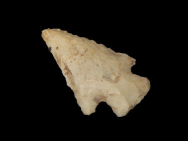 Pike Co. Illinois Apple Creek - 1 3/4" L x 1" W