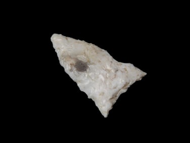 Birdpoint - 1" L x 3/4" W