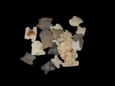 Lot of Native American Blunt Thumb Scrapers