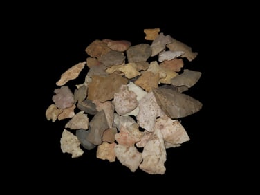 Group of Native American Arrowheads