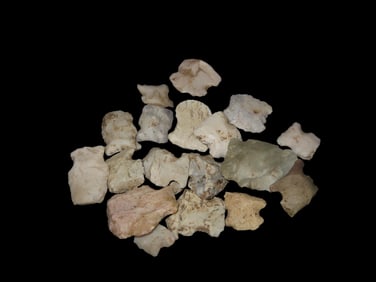 Lot of Native American Blunt Thumb Scrapers