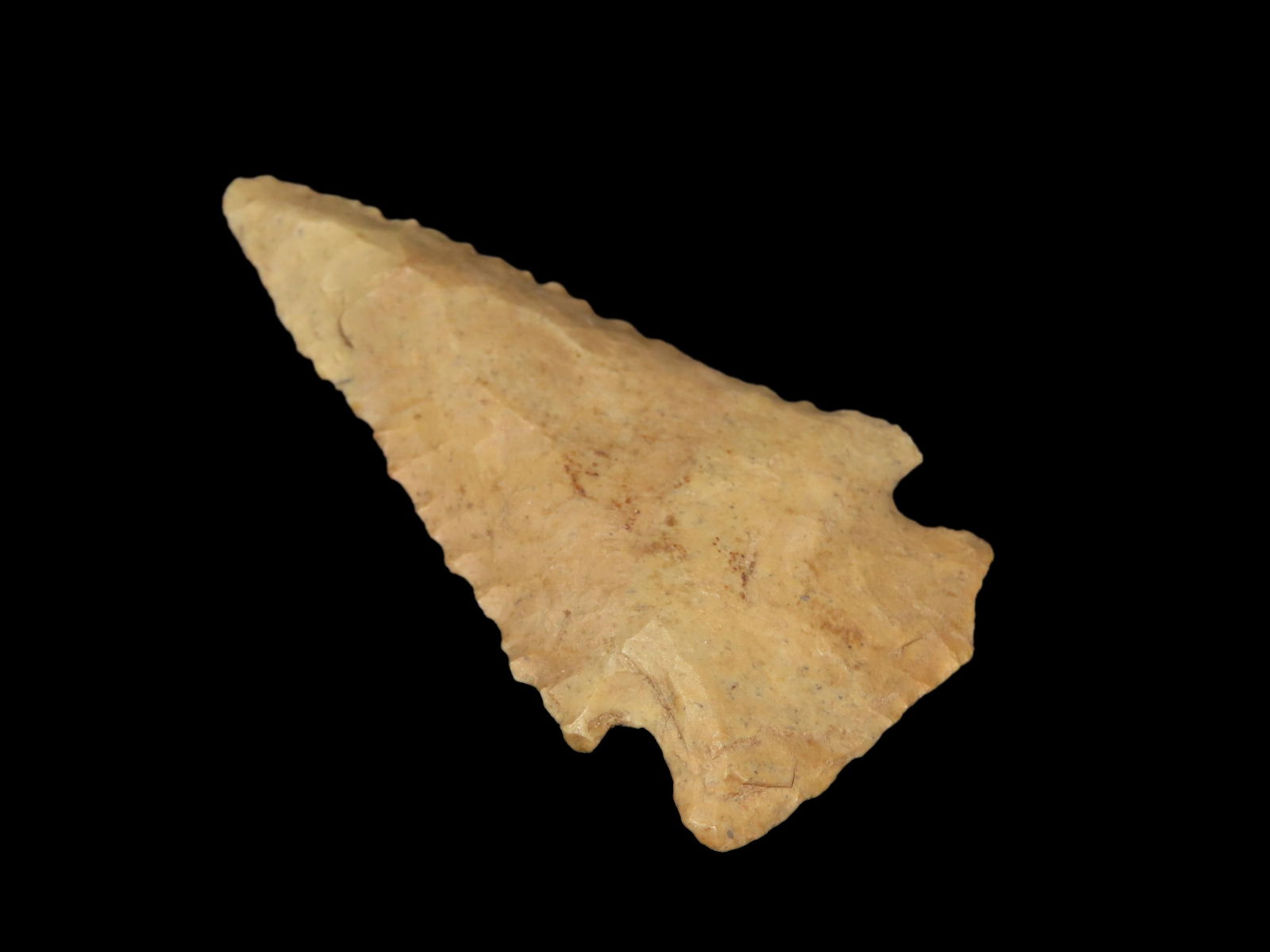 2 5/16" Pine Tree Native American Arrowhead (1 of 5)