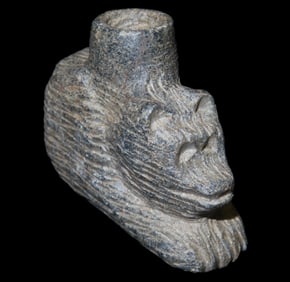 1 1/2" x 2" Racoon Effigy Pipe