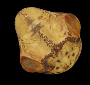 3 1/2" x 3 3/8" Bone Head Effigy Pendant