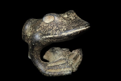 6 3/4" x 3 3/4" Large Frog Pipe